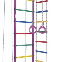 ДСК Атлант цв.фиолетовый радуга: турник, кольца, канат, трапеция, веревочная лестница в Сысерти - sysert.mebel24.online | фото