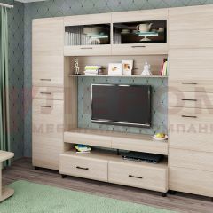 Гостиная Камелия Композиция 10 (Ясень Асахи) в Сысерти - sysert.mebel24.online | фото