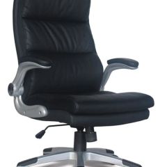 Кресло офисное BRABIX "Fregat EX-510" (рециклированная кожа, черное) 530863 в Сысерти - sysert.mebel24.online | фото