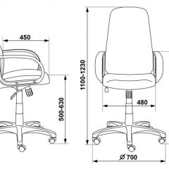 Кресло руководителя Бюрократ CH-808AXSN/G темно-серый 3C1 в Сысерти - sysert.mebel24.online | фото 3