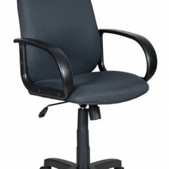 Кресло руководителя Бюрократ CH-808AXSN/TW-12 серый в Сысерти - sysert.mebel24.online | фото