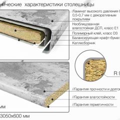 Кухонный фартук со столешницей (А-01) в едином стиле (3050 мм) в Сысерти - sysert.mebel24.online | фото 6