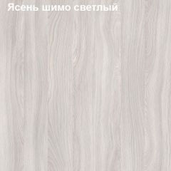 Панель выдвижная Логика Л-7.11 в Сысерти - sysert.mebel24.online | фото 6