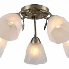 Потолочная люстра Rivoli Olivia Б0052693 в Сысерти - sysert.mebel24.online | фото