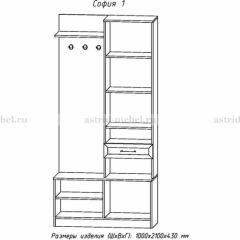 Прихожая София 1 в Сысерти - sysert.mebel24.online | фото 3