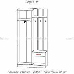 Прихожая София 8 в Сысерти - sysert.mebel24.online | фото 2