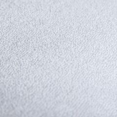PROxSON Защитный чехол Aqua Save M (Ткань влагостойкая Terry Cloth) 120x200 в Сысерти - sysert.mebel24.online | фото 4