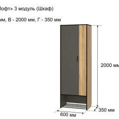 ОЛЬГА-ЛОФТ 3 Шкаф 2-х створчатый в Сысерти - sysert.mebel24.online | фото 4