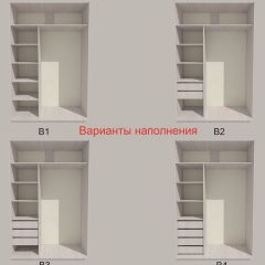 Шкаф-купе 1300 серии SILVER S3+S4+B2+PL4 (2 ящика+F обр.штанга) профиль «Серебро» в Сысерти - sysert.mebel24.online | фото 5