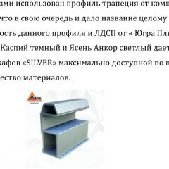 Шкаф-купе 1500 серии SILVER S1+S1+B2+PL2 (2 ящика+1 штанга+1 полка) профиль «Серебро» в Сысерти - sysert.mebel24.online | фото 4
