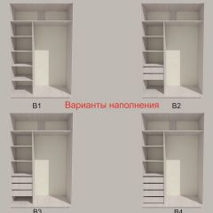 Шкаф-купе 1500 серии SILVER S1+S1+B2+PL2 (2 ящика+1 штанга+1 полка) профиль «Серебро» в Сысерти - sysert.mebel24.online | фото 5
