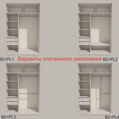 Шкаф-купе 1500 серии SILVER S1+S1+B2+PL2 (2 ящика+1 штанга+1 полка) профиль «Серебро» в Сысерти - sysert.mebel24.online | фото 6