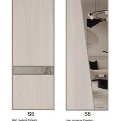 Шкаф-купе 1500 серии SILVER S1+S1+B2+PL2 (2 ящика+1 штанга+1 полка) профиль «Серебро» в Сысерти - sysert.mebel24.online | фото 11