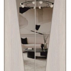 Шкаф-купе 1500 серии SILVER S1+S1+B2+PL2 (2 ящика+1 штанга+1 полка) профиль «Серебро» в Сысерти - sysert.mebel24.online | фото 12