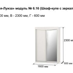 Шкаф-купе 1600 с зеркалом "Мария-Луиза 6.16" в Сысерти - sysert.mebel24.online | фото 4