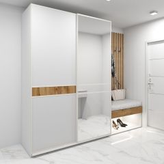 Шкаф-купе 1600 серии SOFT D6+D4+B2+PL2 (2 ящика+1штанга+1 полка) профиль «Капучино» в Сысерти - sysert.mebel24.online | фото 5