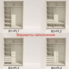 Шкаф-купе 1600 серии SOFT D6+D4+B2+PL2 (2 ящика+1штанга+1 полка) профиль «Капучино» в Сысерти - sysert.mebel24.online | фото 7
