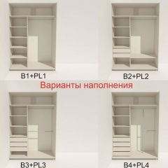 Шкаф-купе 1600 серии SOFT D8+D2+B2+PL4 (2 ящика+F обр.штанга) профиль «Капучино» в Сысерти - sysert.mebel24.online | фото 4