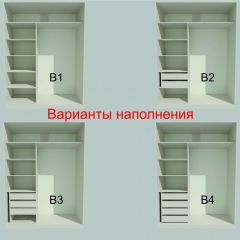 Шкаф-купе 1700 серии NEW CLASSIC K3+K3+B2+PL1 (2 ящика+1 штанга) профиль «Капучино» в Сысерти - sysert.mebel24.online | фото 7