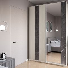 Шкаф-купе 1700 серии SILVER S4+S3Z+B2+PL1 (2 ящика+1 штанга) профиль «Серебро» в Сысерти - sysert.mebel24.online | фото
