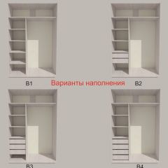 Шкаф-купе 1700 серии SILVER S4+S3Z+B2+PL1 (2 ящика+1 штанга) профиль «Серебро» в Сысерти - sysert.mebel24.online | фото 5