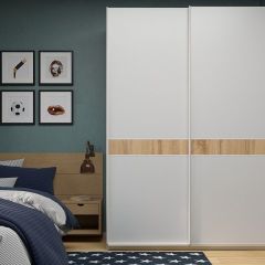 Шкаф-купе 1800 серии SOFT D6+D6+B2+PL3 (2 ящика+2штанги) профиль «Капучино» в Сысерти - sysert.mebel24.online | фото