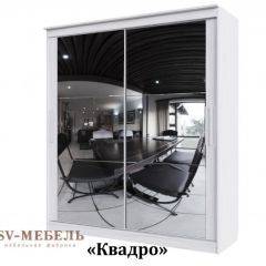 Шкаф-купе №19 Серия 3 Квадро (2000) Ясень Анкор светлый в Сысерти - sysert.mebel24.online | фото