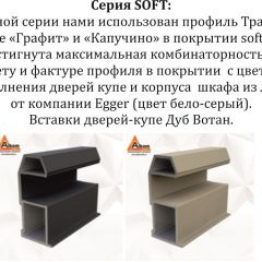 Шкаф-купе 2100 серии SOFT D5+D4+D5+B22+PL3 (по 2 ящика лев/прав+2штанги) профиль «Графит» в Сысерти - sysert.mebel24.online | фото 12