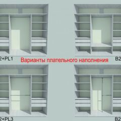 Шкаф-купе 2250 серии SILVER S3+S1+S3Z B22+PL2 (по 2 ящика лев/прав+1штанга+1 полка) профиль «Серебро» в Сысерти - sysert.mebel24.online | фото 6