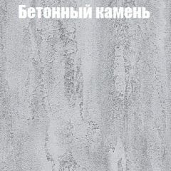 Шкаф-купе Бассо 1.0 (Дуб Крафт серый/Бетонный камень) 2 двери ЛДСП в Сысерти - sysert.mebel24.online | фото 3
