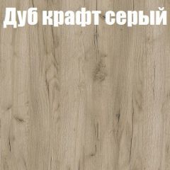 Шкаф-купе Бассо 1.0 (Дуб Крафт серый/Бетонный камень) 2 двери ЛДСП в Сысерти - sysert.mebel24.online | фото 4