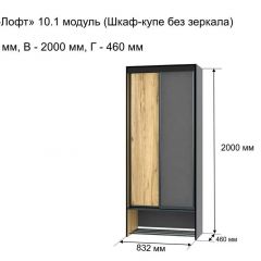 ОЛЬГА-ЛОФТ 10.1 Шкаф-купе без зеркала в Сысерти - sysert.mebel24.online | фото 3