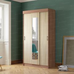 Шкаф-купе Эко (ЭРА) в Сысерти - sysert.mebel24.online | фото 2
