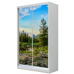 Шкаф-купе ХИТ 22-17-77 (620) в Сысерти - sysert.mebel24.online | фото