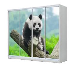 Шкаф-купе ХИТ 23-24/2-7777 (620) в Сысерти - sysert.mebel24.online | фото 1