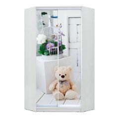 Шкаф-купе ХИТ-У-L-23-64-77 в Сысерти - sysert.mebel24.online | фото
