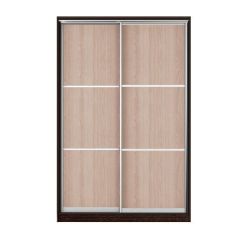 Шкаф-купе Рене 1500 вариант 7 (Тройной ЛДСП/Тройной ЛДСП) в Сысерти - sysert.mebel24.online | фото