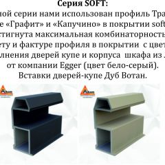 Шкаф-купе 1400 серии SOFT D1+D3+B2+PL1 (2 ящика+1штанга) профиль «Графит» в Сысерти - sysert.mebel24.online | фото 5