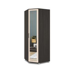 ЕВА Шкаф угловой Е58 в Сысерти - sysert.mebel24.online | фото 3