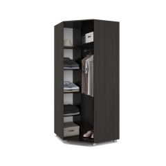 ВИОРА Шкаф угловой В59 в Сысерти - sysert.mebel24.online | фото 4