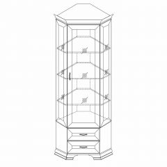 Шкаф-витрина угловой Сиена в Сысерти - sysert.mebel24.online | фото 2