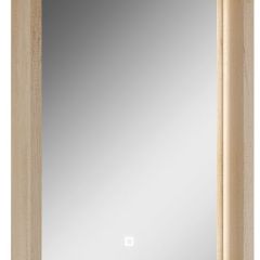 Шкаф-зеркало Nice 45 с подсветкой Домино (DN4704HZ) в Сысерти - sysert.mebel24.online | фото 1
