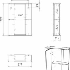 Шкаф-зеркало Норма 2-50 левый АЙСБЕРГ (DA1607HZ) в Сысерти - sysert.mebel24.online | фото 10