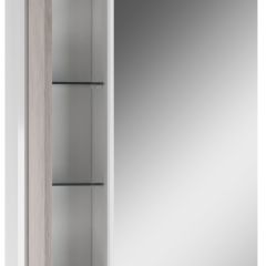 Шкаф-зеркало Uno 60 Дуб серый левый/правый Домино (DU1503HZ) в Сысерти - sysert.mebel24.online | фото 3