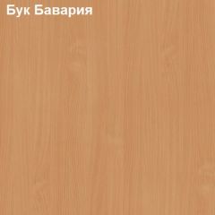 Стол письменный Логика Л-1.16 в Сысерти - sysert.mebel24.online | фото