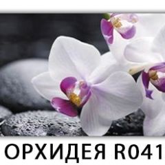 Стол раздвижной Бриз лайм R156 Орхидея R041 в Сысерти - sysert.mebel24.online | фото 33