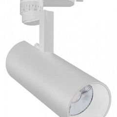 Светильник на штанге Escada 20029 20029TRA/01LED SWH в Сысерти - sysert.mebel24.online | фото