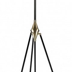 Светильник на штанге Lightstar Modena 816047 в Сысерти - sysert.mebel24.online | фото