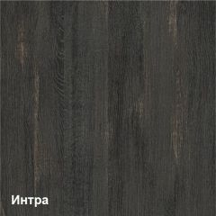 Трувор Шкаф-стеллаж 13.206 в Сысерти - sysert.mebel24.online | фото 4