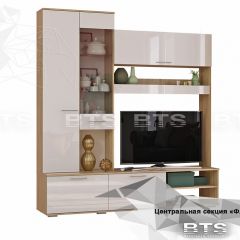 ФЛАЙ Центральная секция ЦС-01 (дуб сонома/белый) в Сысерти - sysert.mebel24.online | фото 2
